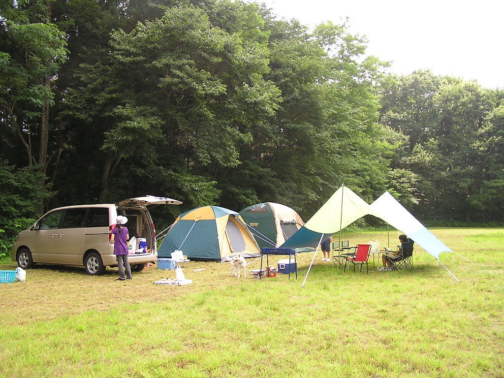 Camping arboré