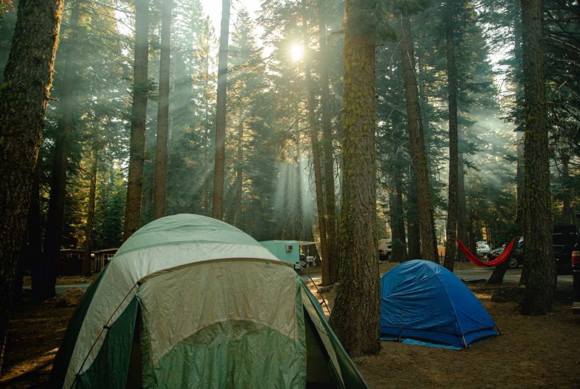 Camping Tourisme Vert