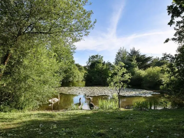 camping Exakt à vendre