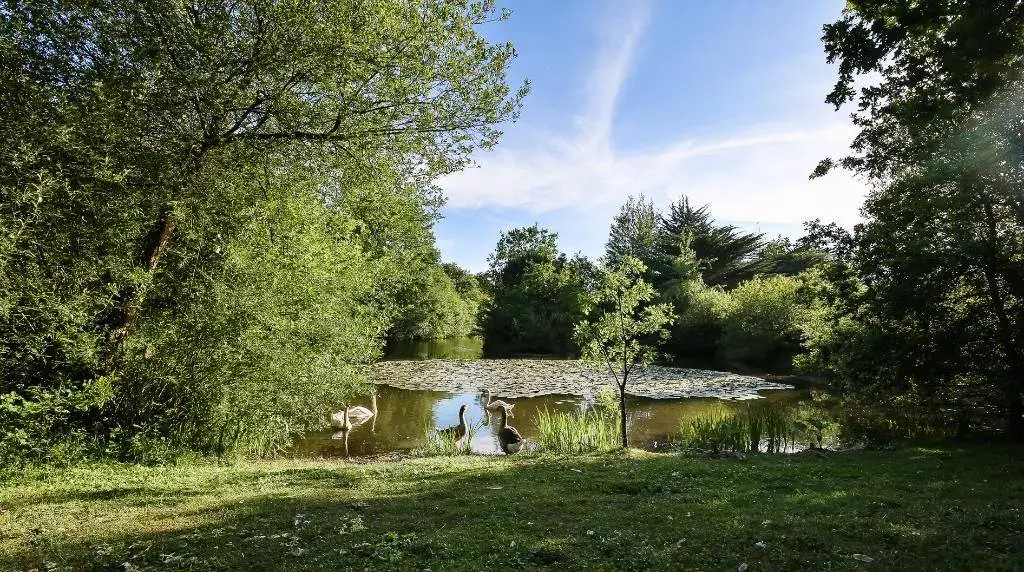 camping Exakt à vendre