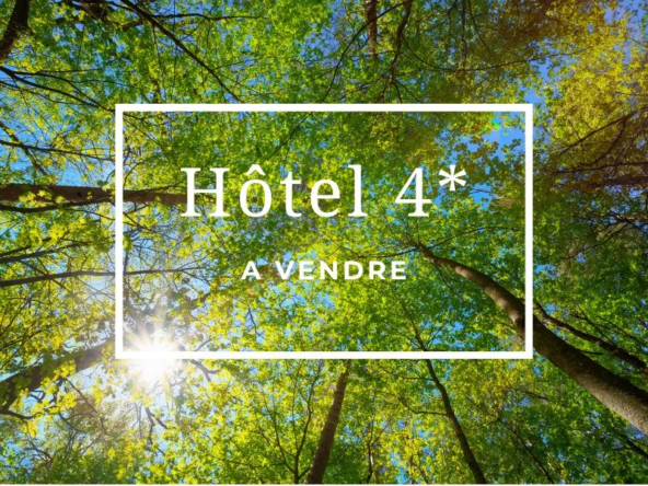 Hotel à vendre Val de Loire
