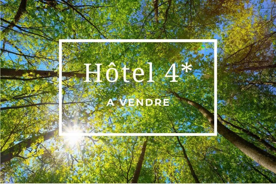 Hotel à vendre Val de Loire